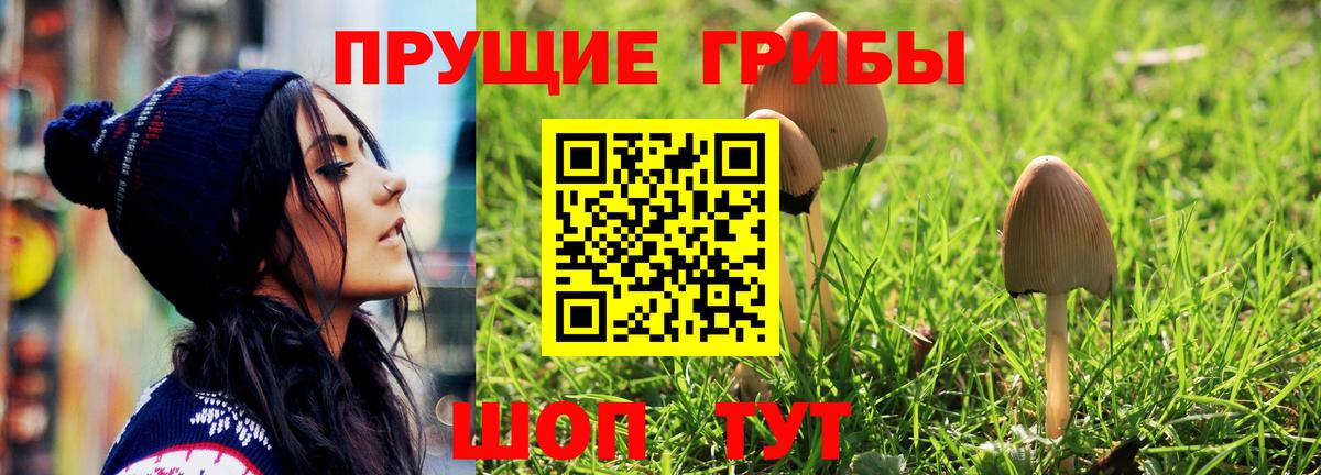 Псилоцибиновые грибы MAGIC MUSHROOMS Аксай
